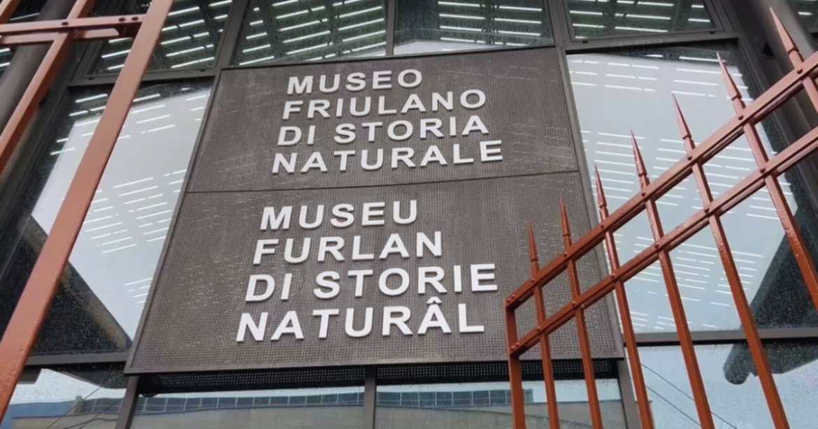 Museo Friulano di Storia Naturale Udine